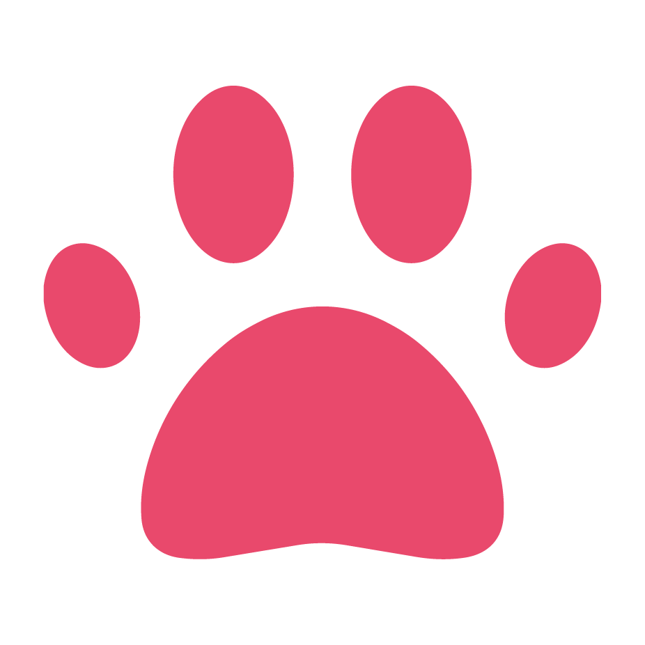 Card Icon